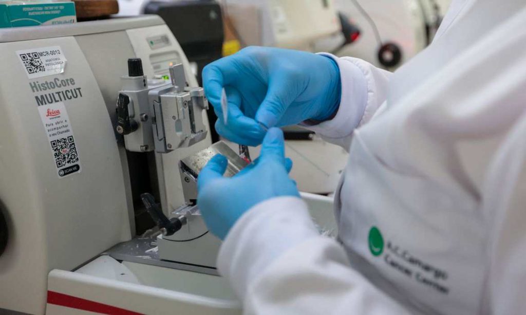 Saúde Anuncia Aliança Internacional para Desenvolver Terapias Avançadas no Brasil